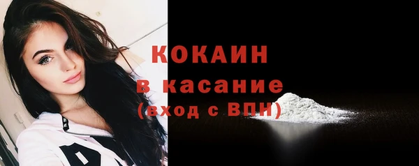 мдпв Киреевск