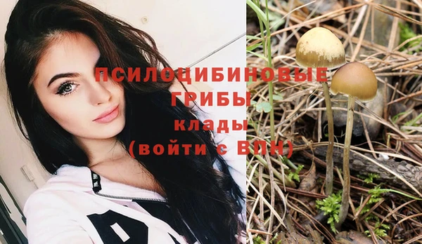 шишки Саяногорск